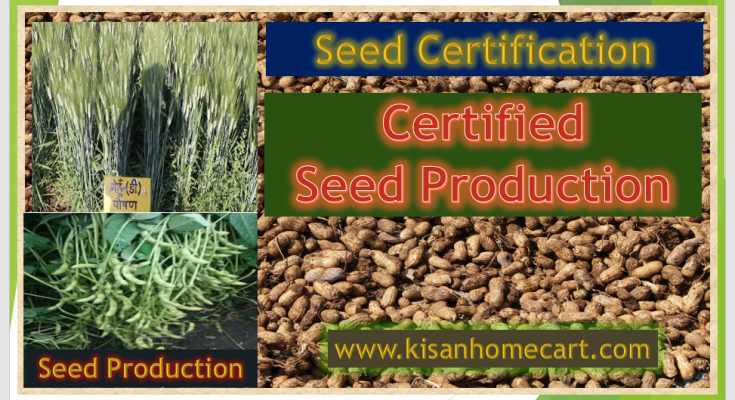 seed certification